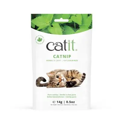 Trygg betalning Catnip 14 g, CatIt