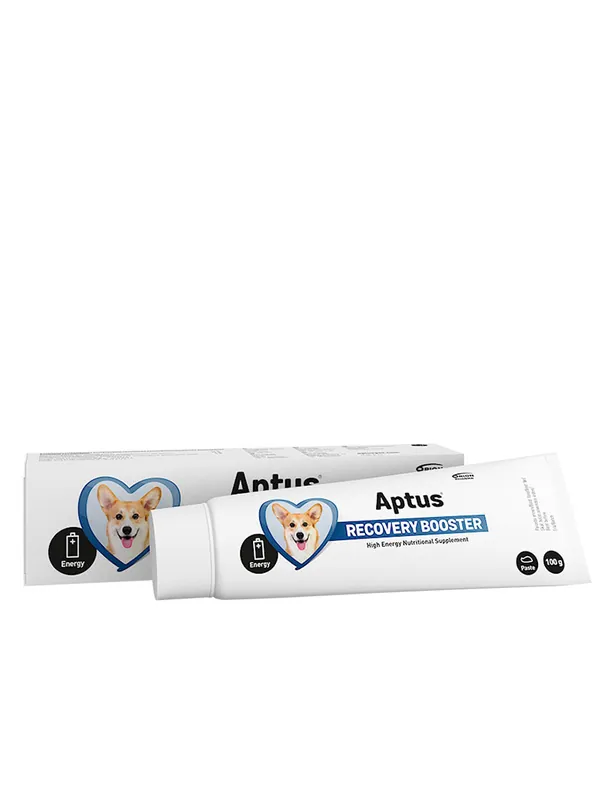 Rea Aptus Recovery Booster Dog 100 g