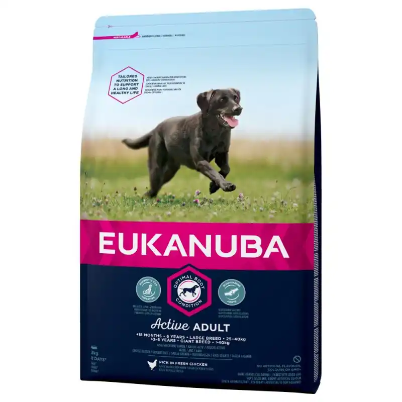 Eukanuba Adult Large Endast idag