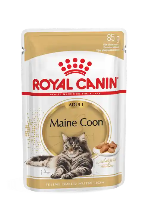 Köp nu Royal Canin WET Maine Coon Gravy