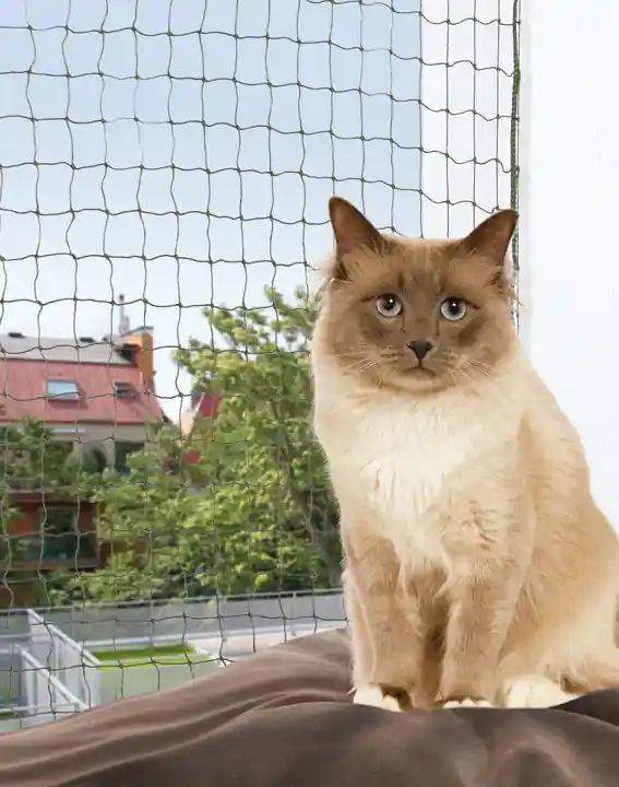 Cat Protect kattnät med wire, olivgrönt Fynd