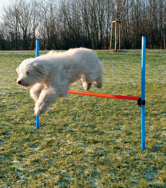 Köp nu Agility Hopphinder plast 123 x 115 cm