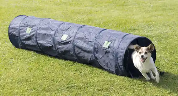 Populärt val Agility tunnel 40 x200 cm