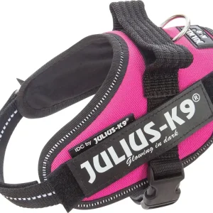 Beställ idag Julius-K9 IDC sele, cerise