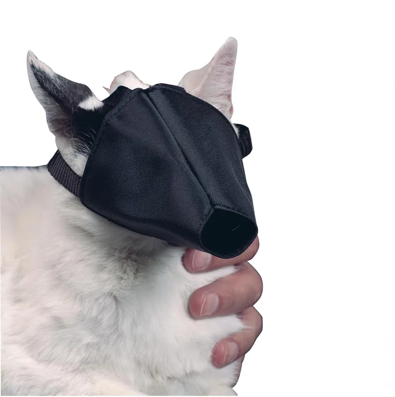 Munkorg katt one size, Buster Kampanjpris