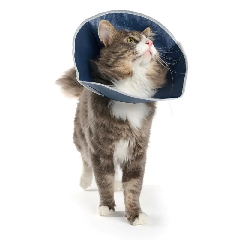 Buster Soft Collar katt/små hundar Populär