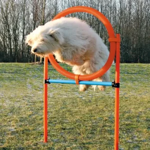 Agility Hoppring Plast 78 x 65 x 115 cm Snabb leverans