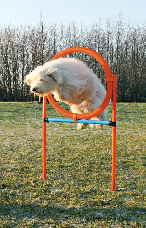 Agility Hoppring Plast 78 x 65 x 115 cm Snabb leverans