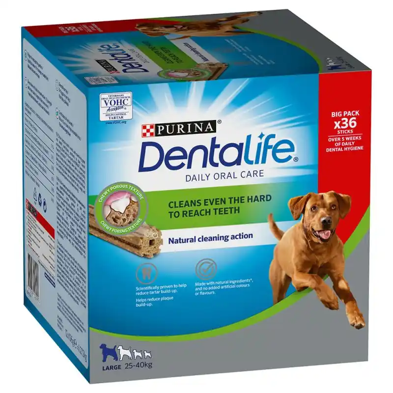 Trygg betalning Dentalife Large 36-pack