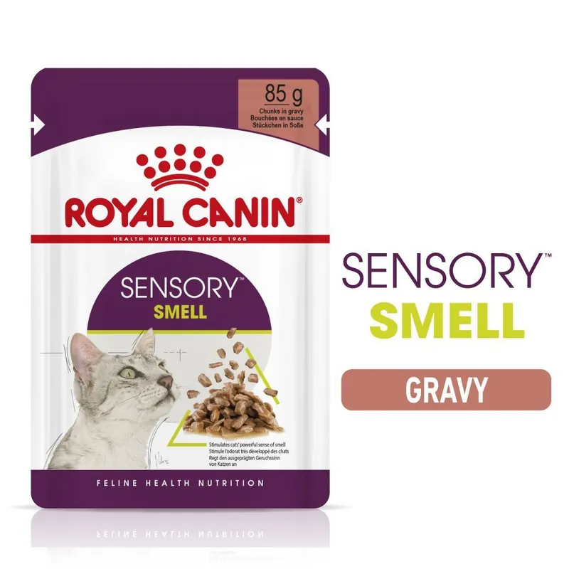 Snabb leverans Royal Canin WET Sensory Smell Gravy
