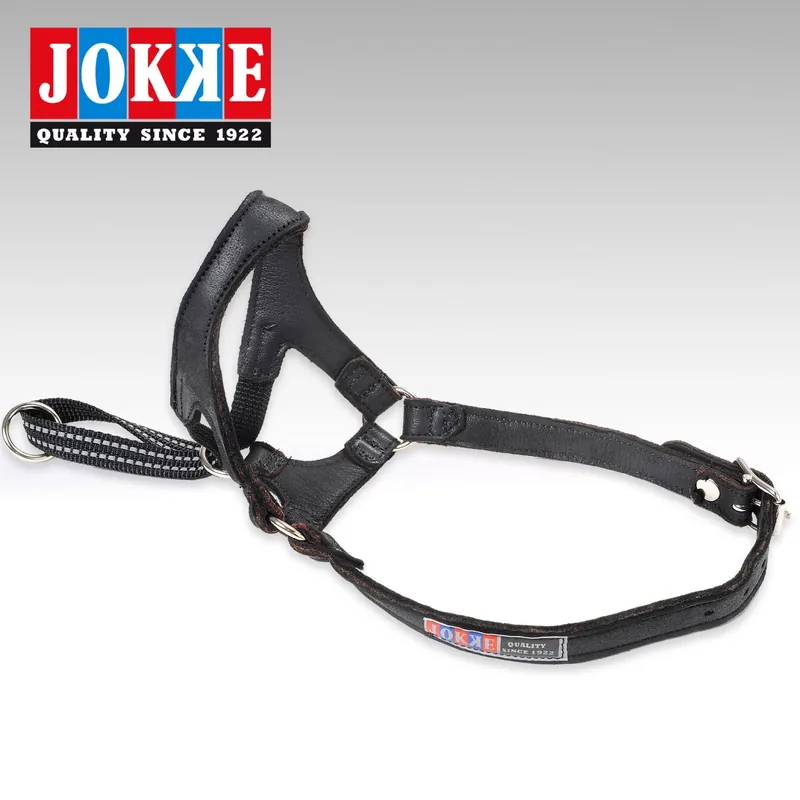 Rabatter Nossele Ippa reflex, Jokke
