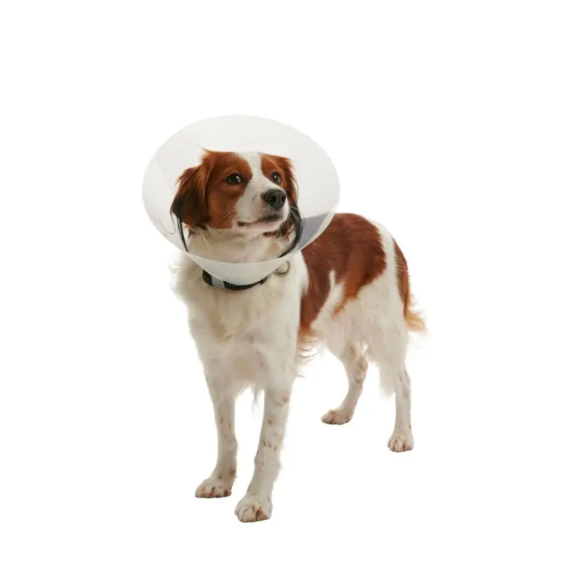 Beställ idag Buster Hundkrage Clic