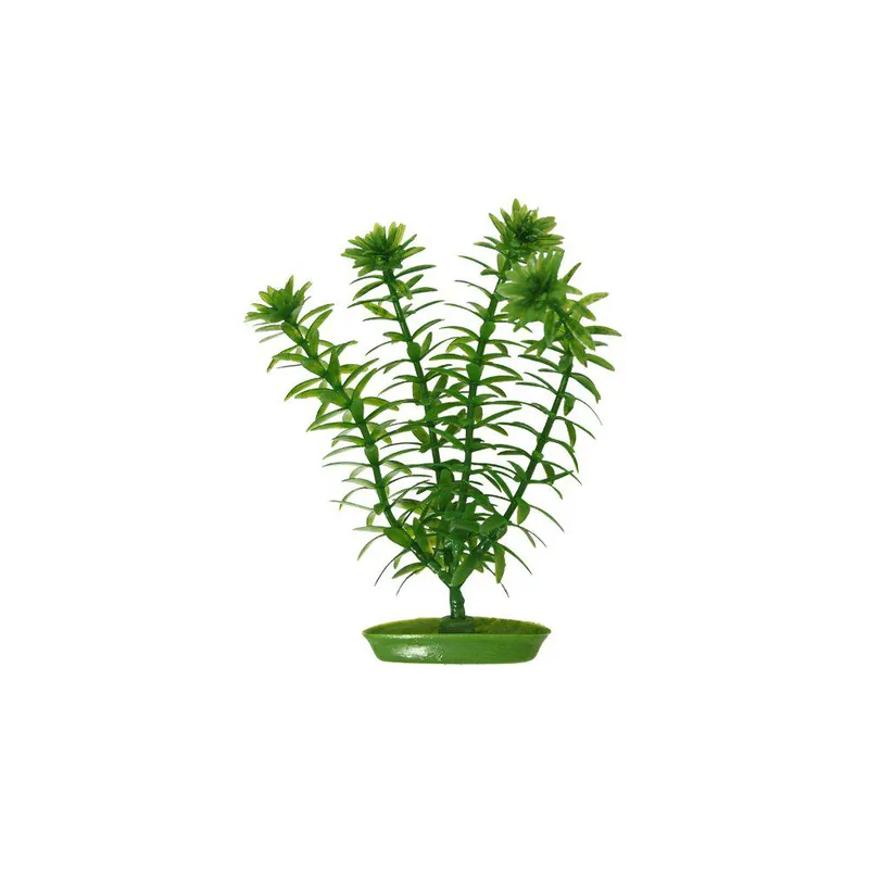 Plastväxt Anacharis 20 cm Reapris