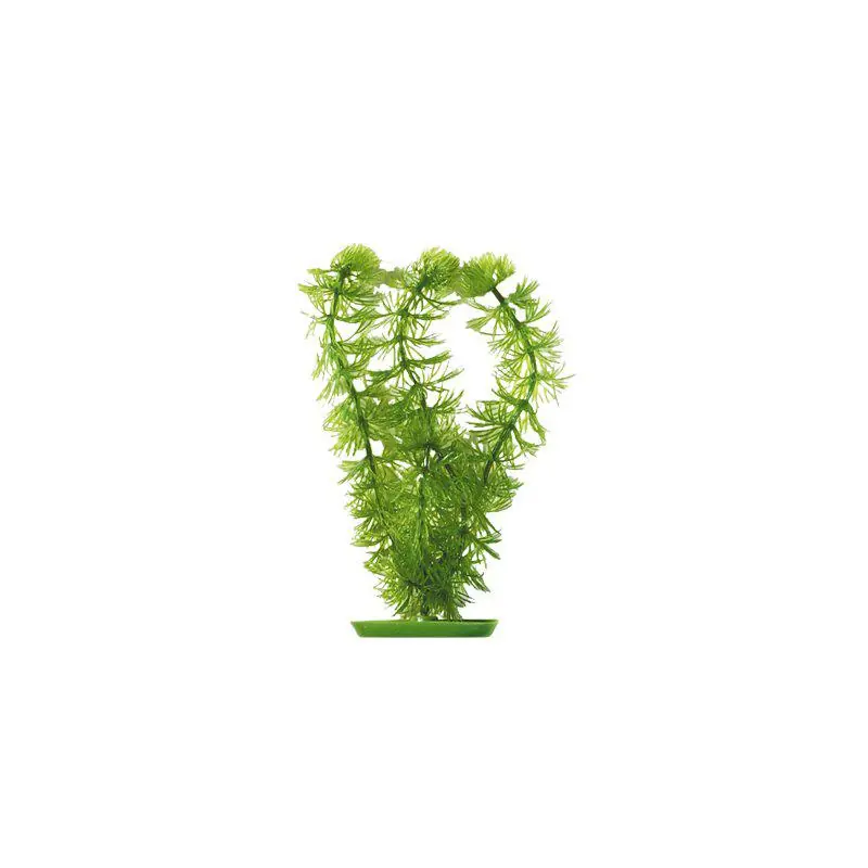 Plastväxt Hornwort 20 cm I lager