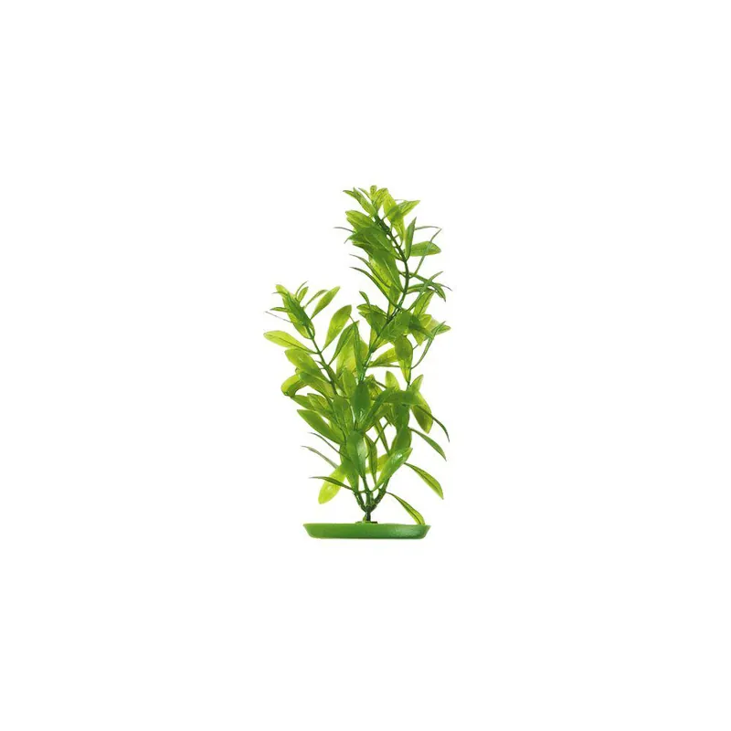 Plastväxt Hygrophila 13 cm Erbjudandepris