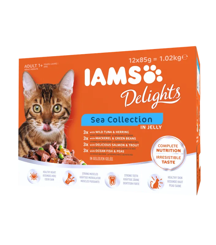 Iams Delights in jelly Multipack Sea 12x85 g Snabb frakt