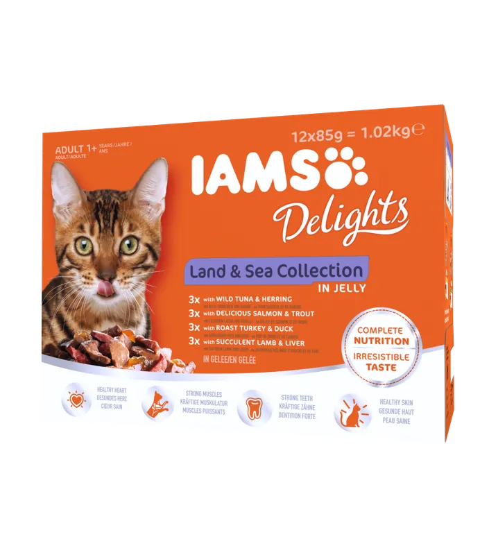 Endast denna vecka Iams Delights in jelly Multipack Land & Sea 12x85 g