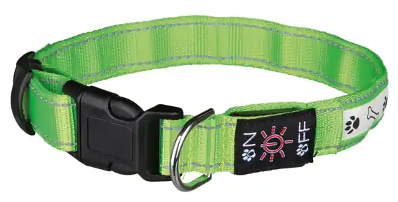 Flash Illuminious halsband USB, grön Billig