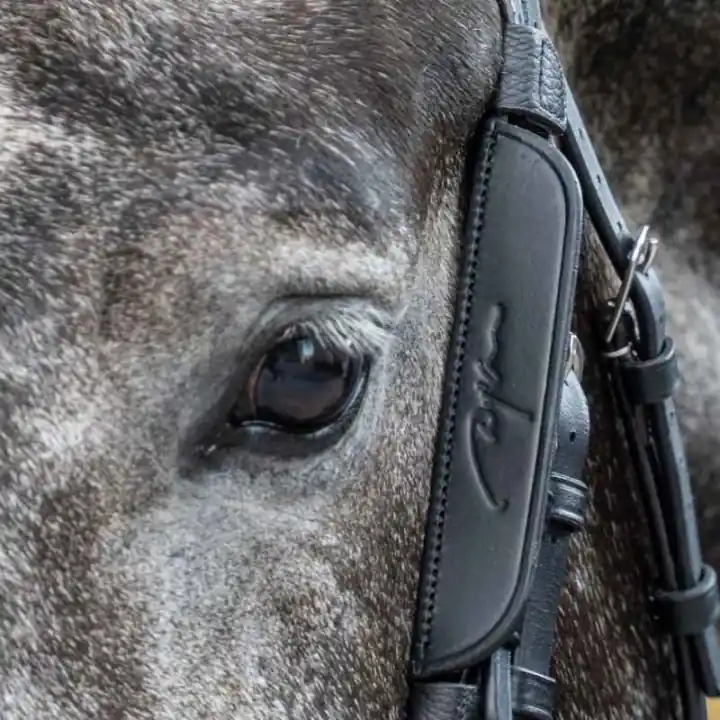 Rabatter Fokus / Blinkers 2-pack Svart