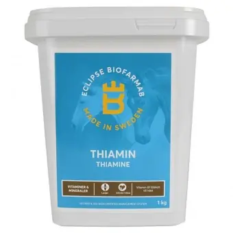 Snabb frakt Thiamin