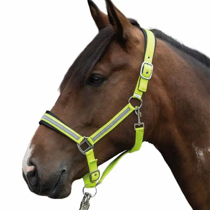 Grimma Reflective Gul/Silver Endast denna vecka