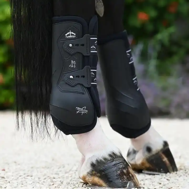 Erbjudande Dressyrskydd Absolute Rear Elastic Svart