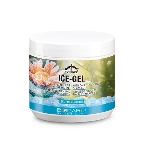 Beställ idag Ice Gel 500ml