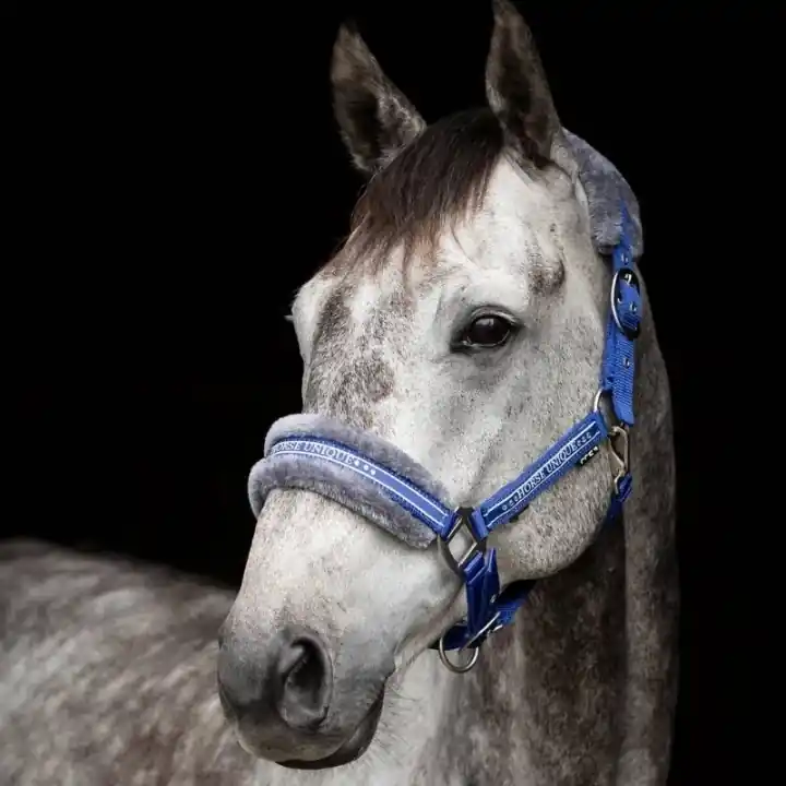 Grimma med Ludd Royalblå/Grå Erbjudandepris