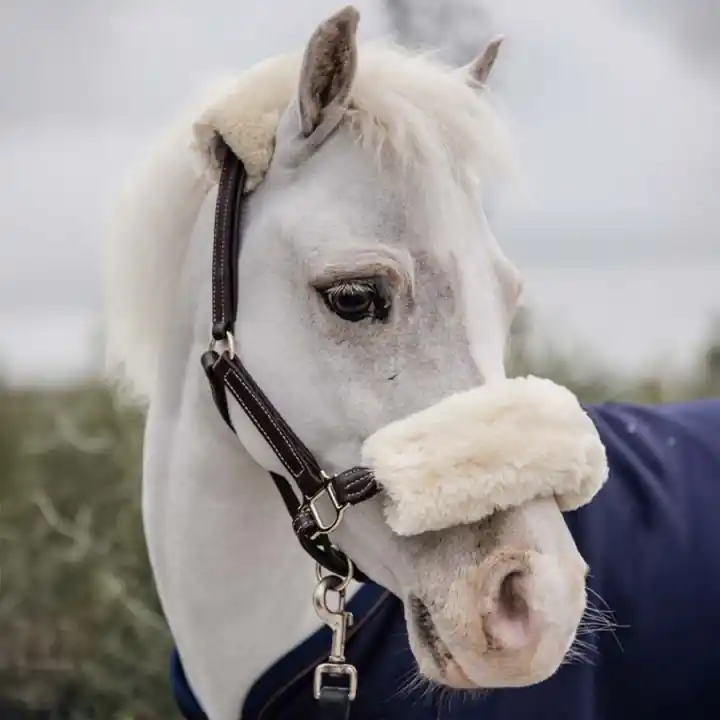 Nyhet Lädergrimma Pony Artificial Sheepskin Brun