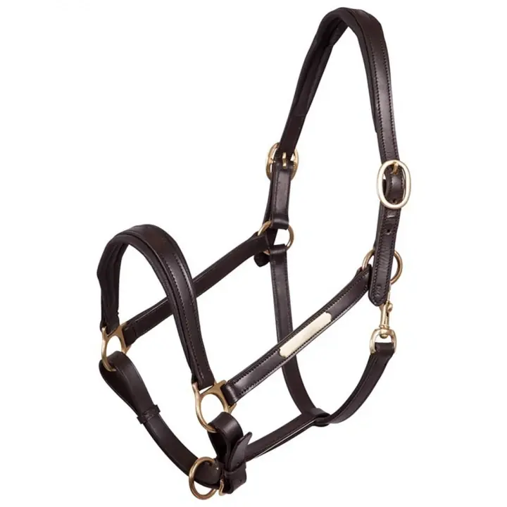 Rabatt Lädergrimma Padded Brun/Mässing
