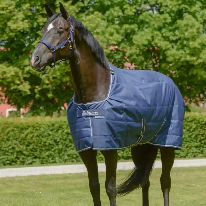 Stalltäcke/Undertäcke Quilt 50g Marinblå Outlet
