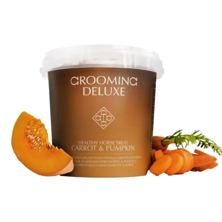 Hästgodis Healthy Horse Treats Carrot & Pumpkin 500g Premium