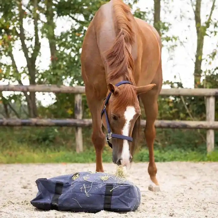 Nyhet Hönät Cushion Marinblå