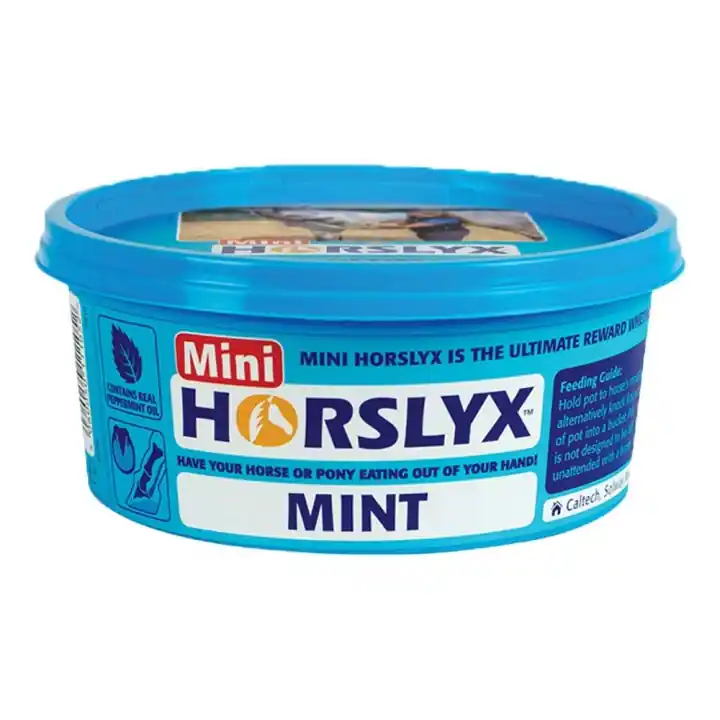 Slicksten Mini Mint Balancer 650g Snabb frakt