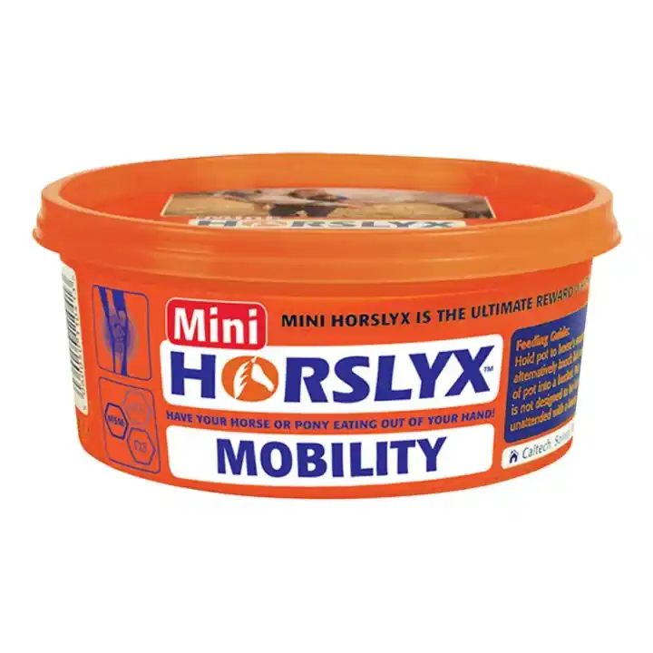 Slicksten Mini Mobility Balancer 650g Utförsäljning