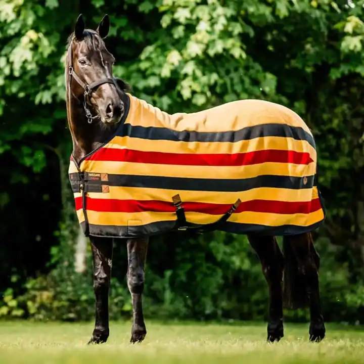 Snabb leverans Fleecetäcke Newmarket Cooler Witney Gold