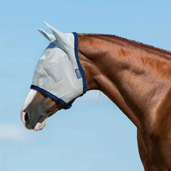 Handla nu Amigo Flugmask Marinblå