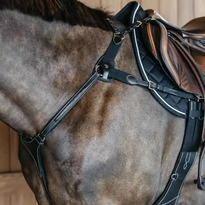 Begränsat erbjudande 5-Punktsbrösta Elastic Dyon Collection Svart