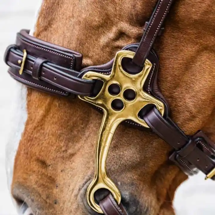 Hackamore Dyon Collection Brun Beställ idag