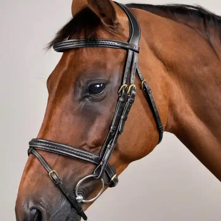 Träns Kombinosgrimma Plaited Dyon Collection Svart Premium