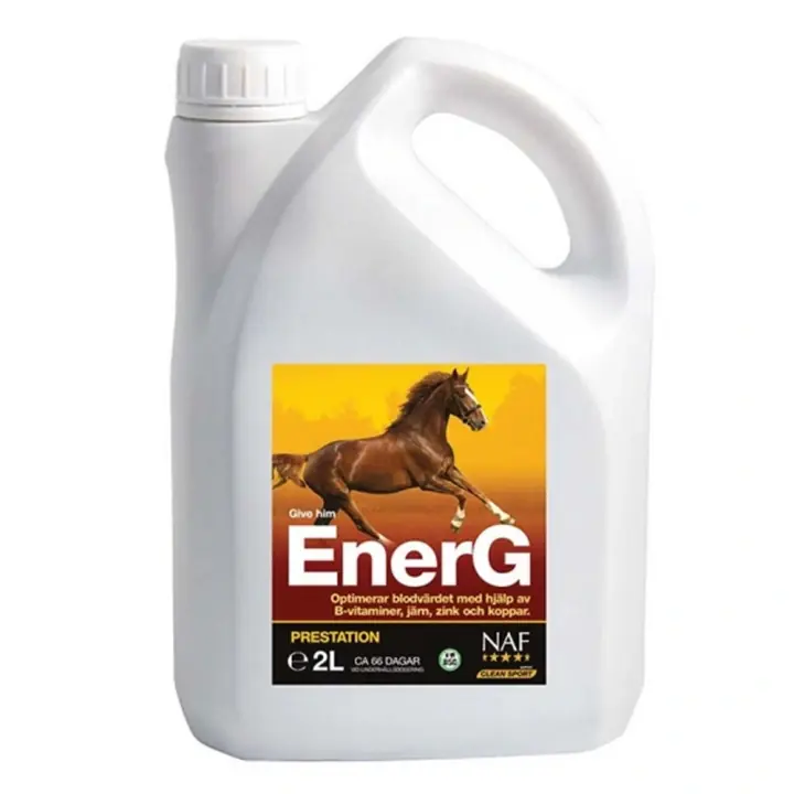 Outlet EnerG