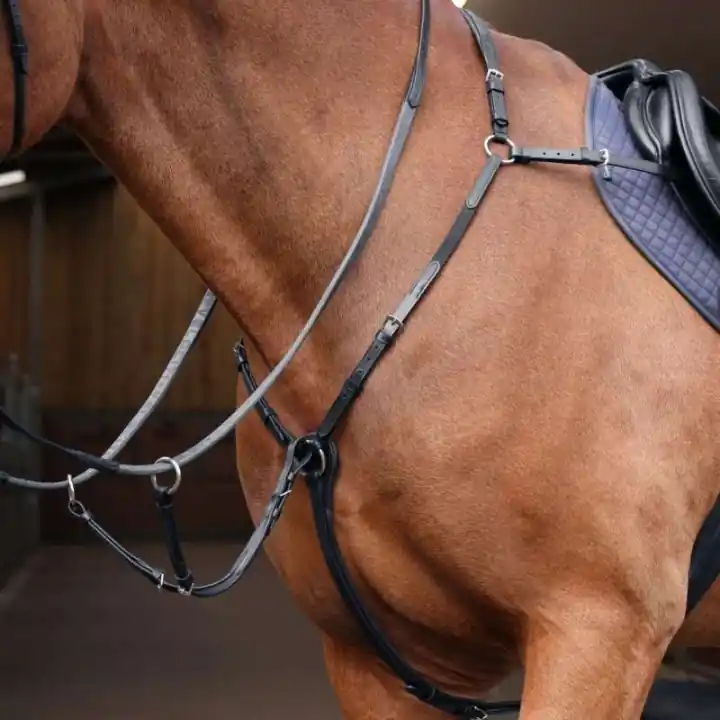 Förbygel med Martingal Rapida Svart Sänkt pris