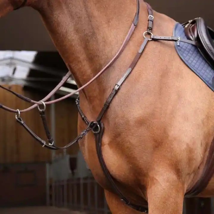 Snabb leverans Förbygel med Martingal Rapida Brun