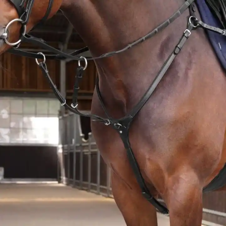 Förbygel med Martingal LUSSO Elite Svart Snabb frakt