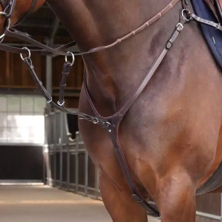 Förbygel med Martingal LUSSO Elite Brun Rabatt