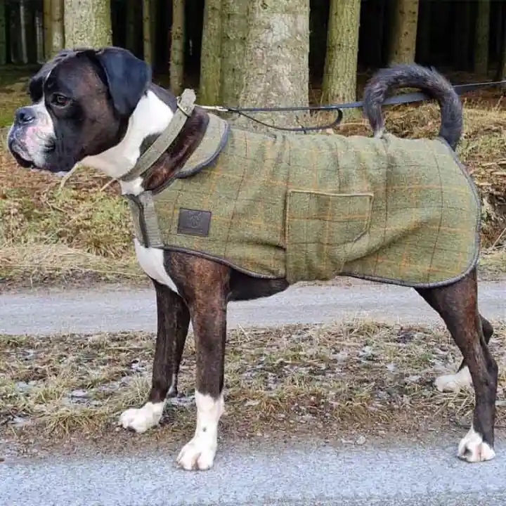 Begränsat antal Hundtäcke Tweed Grön
