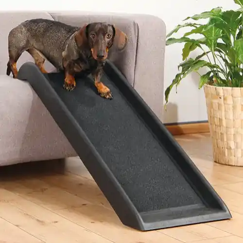 Beställ nu Rampe Petwalk