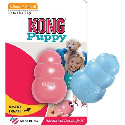 I lager Kong - Valp