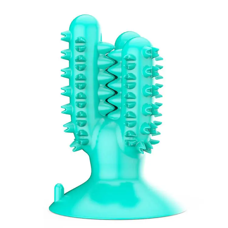 Rea Dental kaktus