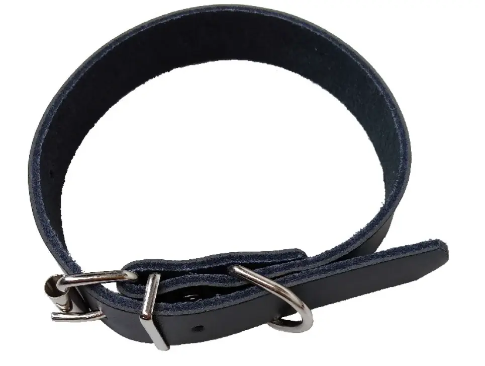 Bästa pris Halsband till hundar, svart